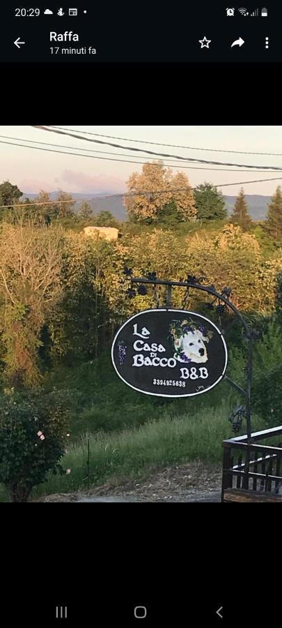 La Casa di Bacco B&B Lerma Esterno foto
